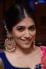 Gazal Somaiah At Ode to Royality Curtain Raiser